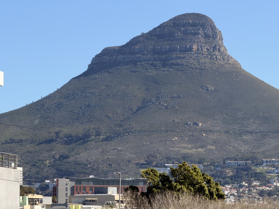 To Let Commercial Property for Rent in Cape Town City Centre Western Cape